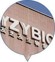 宝马bm1122线路顶级(中国游)有限公司官网